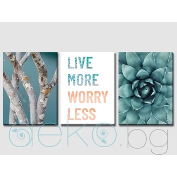 Image 1 of Комплект пана Live more 3 бр (100001)
