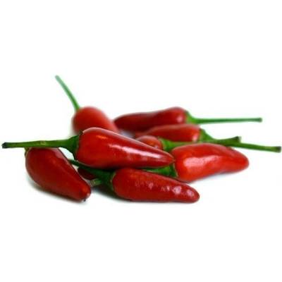 Need For Seed Chilli Tabasco semena 10 ks