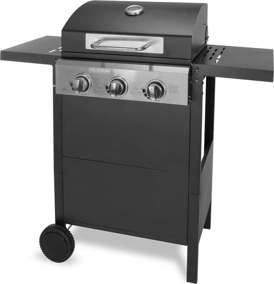 Fieldmann FZG 3003