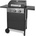 Fieldmann FZG 3003