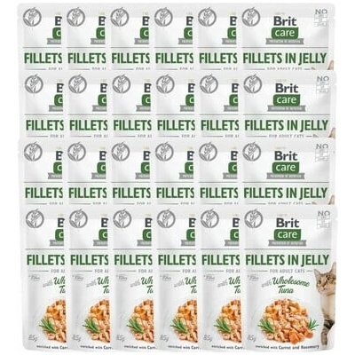 Brit Care Filety z tuniaka v omáčke 24 x 85 g