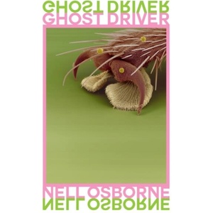 Ghost Driver (ISBN: 9781913430207)