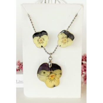 Meganflo Комплект мини теменужки