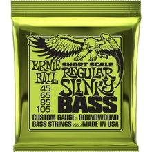 Ernie Ball 2833