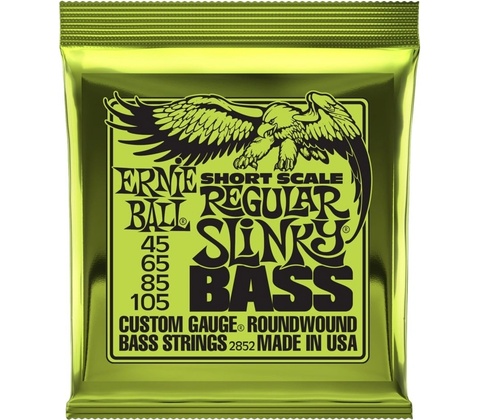 Ernie Ball 2833