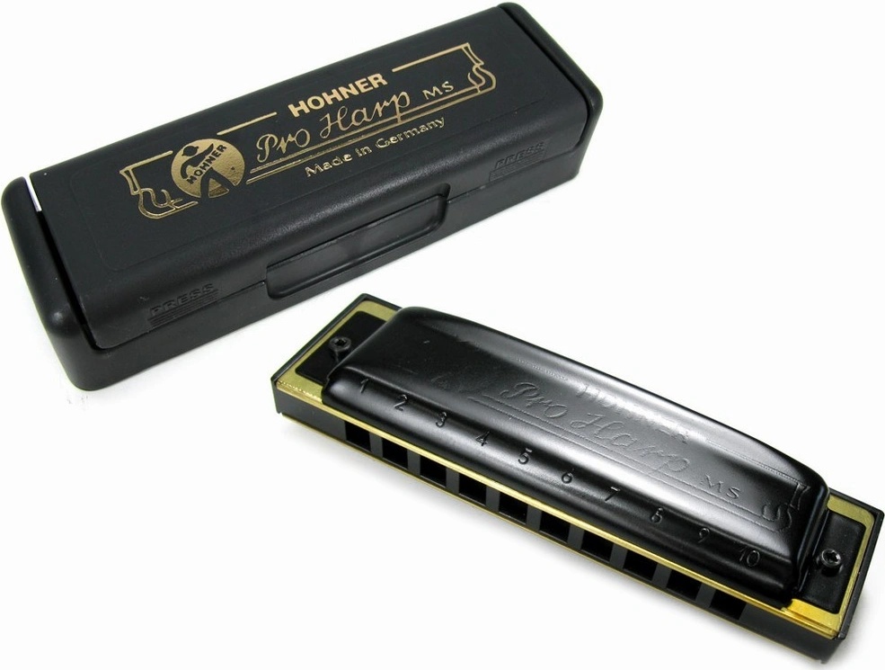 Hohner ProHarp D