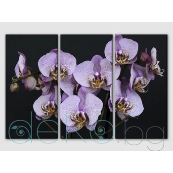 Лилави орхидеи - 3 части (30079)