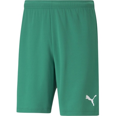 Puma teamRISE zelená