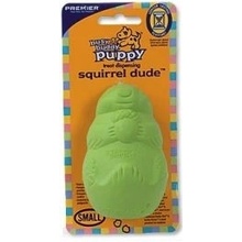 Premier Busy Buddy Squirrel Dude S