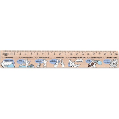 Metrie Didakt-M02 Dřevěné pravítko s potiskem Mluvnické pády 20 cm