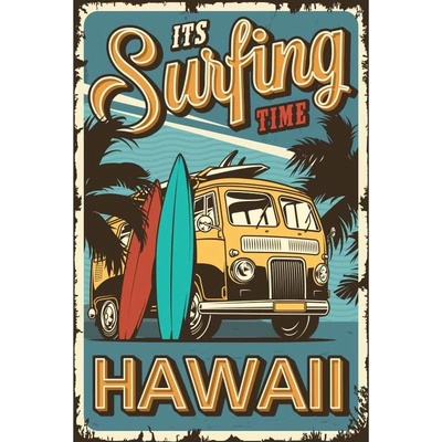 Ceduľa It is Surfing Time Hawaii