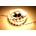 MasterLED VIP1404