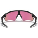 Image 1 of Oakley Radar EV Path OO9208-44