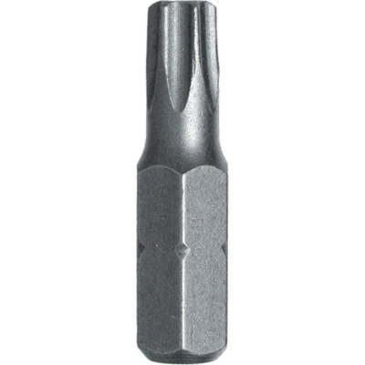 Bit Stahlberg T10 2 ks