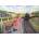Ravensburger - Puzzle The Request Stop - 500 piese