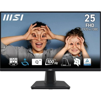 MSI Pro MP252