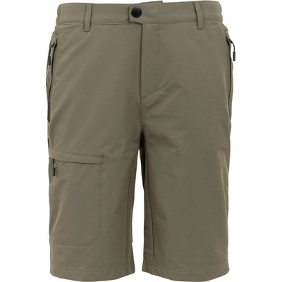 Regatta Highton shorts Long II