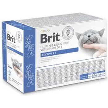 Brit Grain & Gluten Free VD Cat Pouch fillets in Gravy Recovery 12 x 85 g