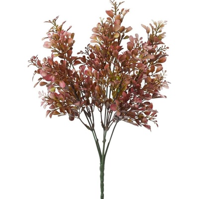 ZELEŇ KRUŠP. LÍSTKY BORDOVÉ 34CM