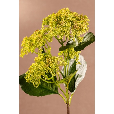 Paramit BUDDING HYDRANGEA Aranžovací květina zelená 56 cm