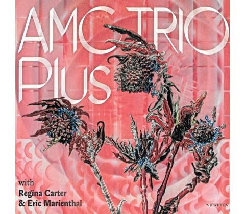 AMC TRIO - PLUS CD