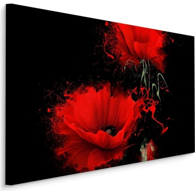 Plátno Červené Máky Na Černém Pozadí Varianta: 70x50