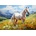 Картина за рисуване по номера 40 х 50 см. r7127