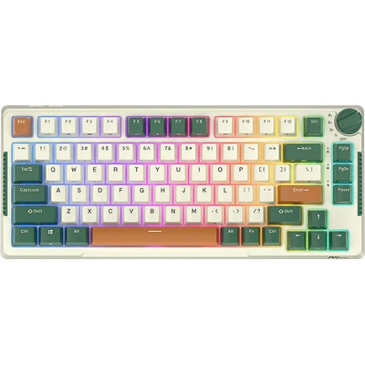 Royal Kludge RKH81 RGB
