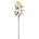 Bloomingville Изкуствено цвете Bloomingville хризантема бежово (82061479)