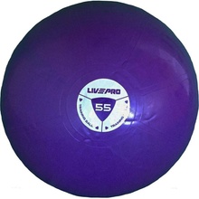 LivePro studio fit exercise 55 cm