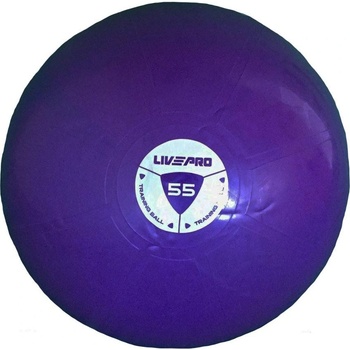 LivePro studio fit exercise 55 cm