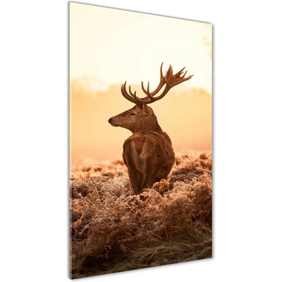 Vertikálny foto obraz sklenený Jeleň východ slnka 50x100 cm