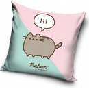 Carbotex Mačička Pusheen motív Hi 40 x 40 cm