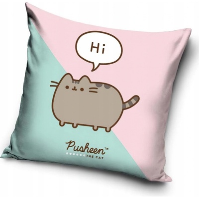 Carbotex Mačička Pusheen motív Hi 40 x 40 cm