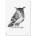 Plagát Eagle Owl 50x70