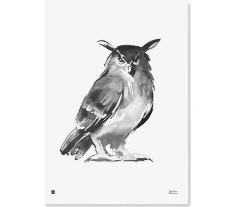 Plagát Eagle Owl 50x70