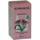 Arkokapsle Echinacea 45 kapslí