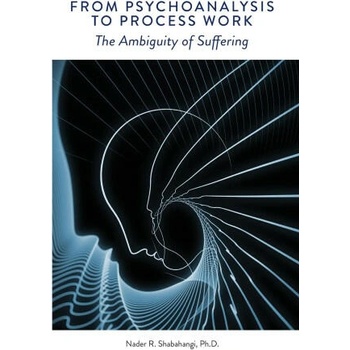 From Psychoanalysis to Process Work