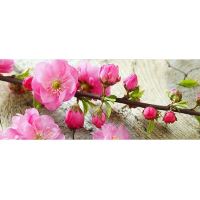 Dimex MP-2-0109 Panoramatická vliesová fototapeta na zeď Sakura rozměry 375 x 150 cm
