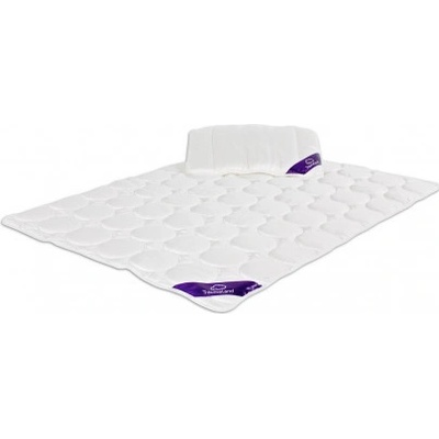 Träumeland set Tencel 100x135 40x60