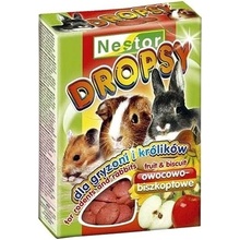 Nestor Biscuit fruit 35 g