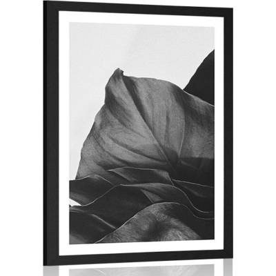Plakát s paspartou okouzlující dopis monstery v černobílém provedení - 40x60 black