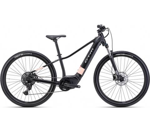 CTM Ruby GX 2025
