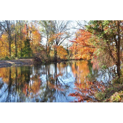 DIMEX ART Флизелинов фототапет есенен пейзаж 375 x 250 см