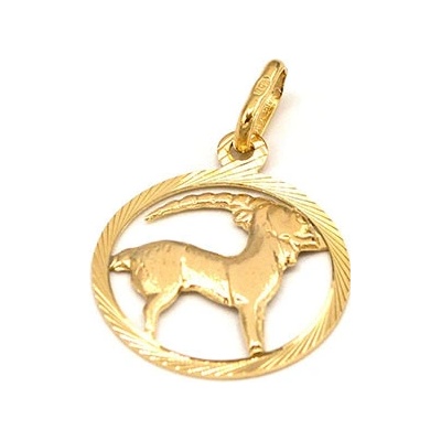 B&B Goldinvestic Zlatý přívěsek kozoroh v kruhu N5069