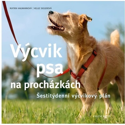 Výcvik psa na procházkách