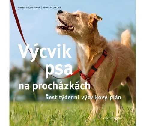 Výcvik psa na procházkách