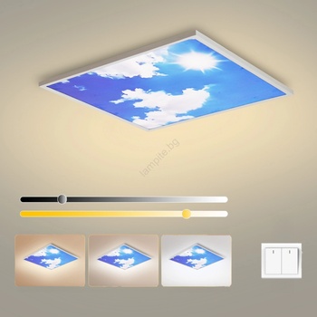 Brilagi - LED таванно осветително тяло SLIMFRAME LED/58W/230V 60x60 cm сребристо/синьо (BG3052)
