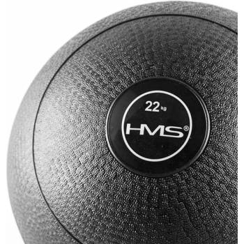 HMS Slam ball 22 kg