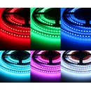T-LED 082401